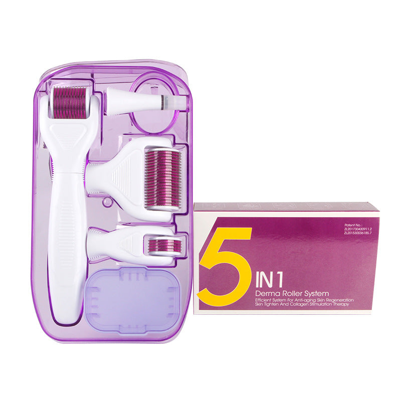 DermaKit™ 6-in-1 Microneedling System | Pro-Grade Stainless Steel Skincare Set - Fa'Ra Way