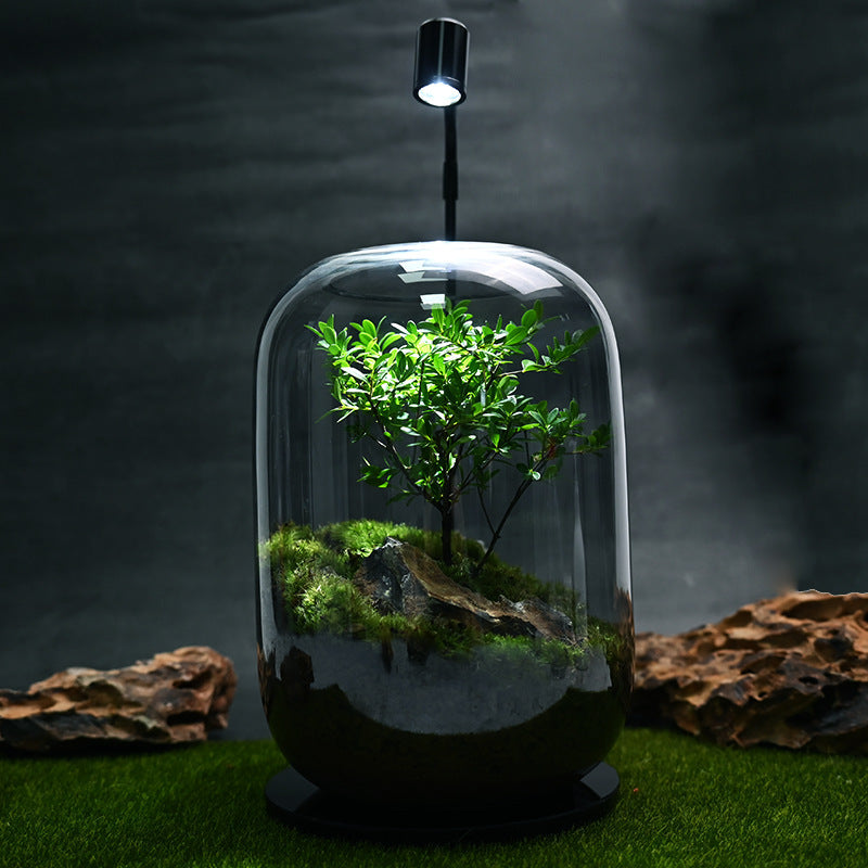 Handmade "Tree of Life" Glass Terrarium – Zero-Maintenance Desktop Greenery - Fa'Ra Way