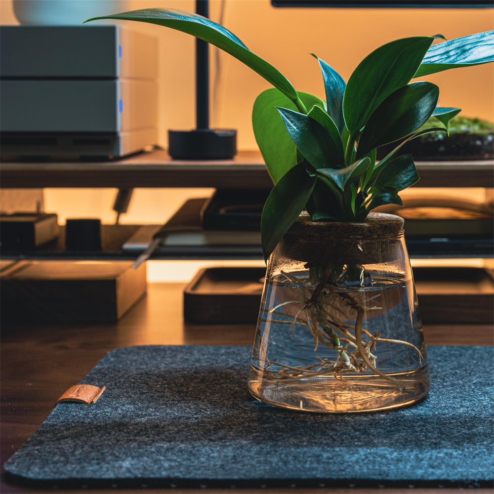 Minimalist Felt Desk Mat – Ultra-Soft Protective Mouse Pad - Fa'Ra Way