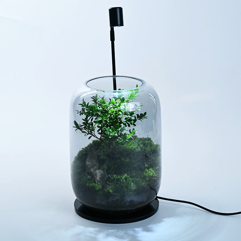 Handmade "Tree of Life" Glass Terrarium – Zero-Maintenance Desktop Greenery - Fa'Ra Way