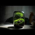 Handmade "Tree of Life" Glass Terrarium – Zero-Maintenance Desktop Greenery - Fa'Ra Way