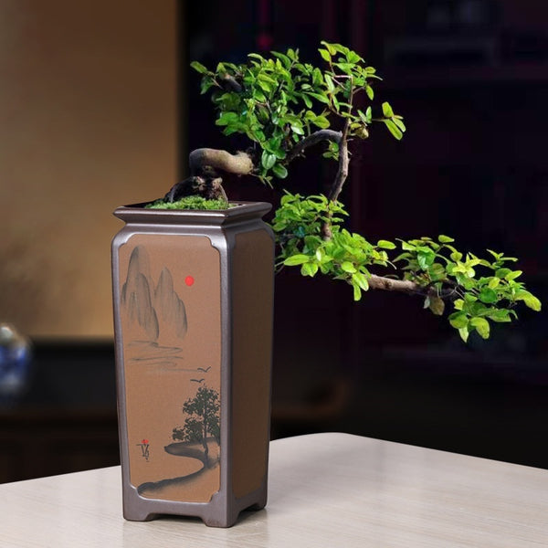 Purple Sand Ceramic Orchid Creative Indoor Desktop Green Plant Potted Plants - Fa'Ra Way