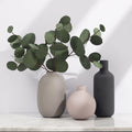 Nordic Matte Ceramic Vase – Morandi Style Hydroponic Decor - Fa'Ra Way