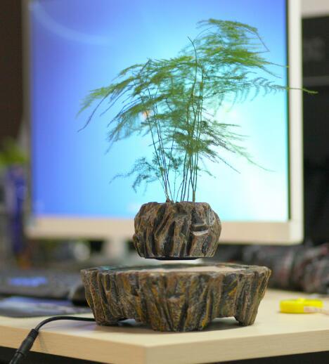 Plants float in air - Fa'Ra Way