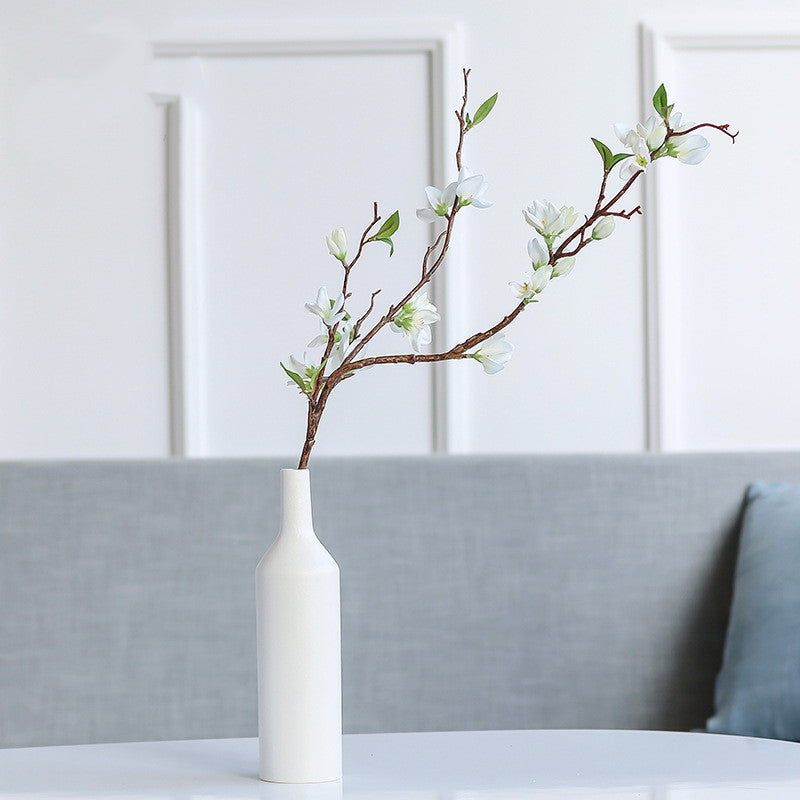 Creative Ceramic Vase Hydroponic Vase Decorative Ornaments - Fa'Ra Way