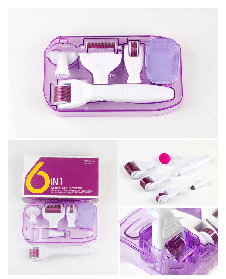DermaKit™ 6-in-1 Microneedling System | Pro-Grade Stainless Steel Skincare Set - Fa'Ra Way