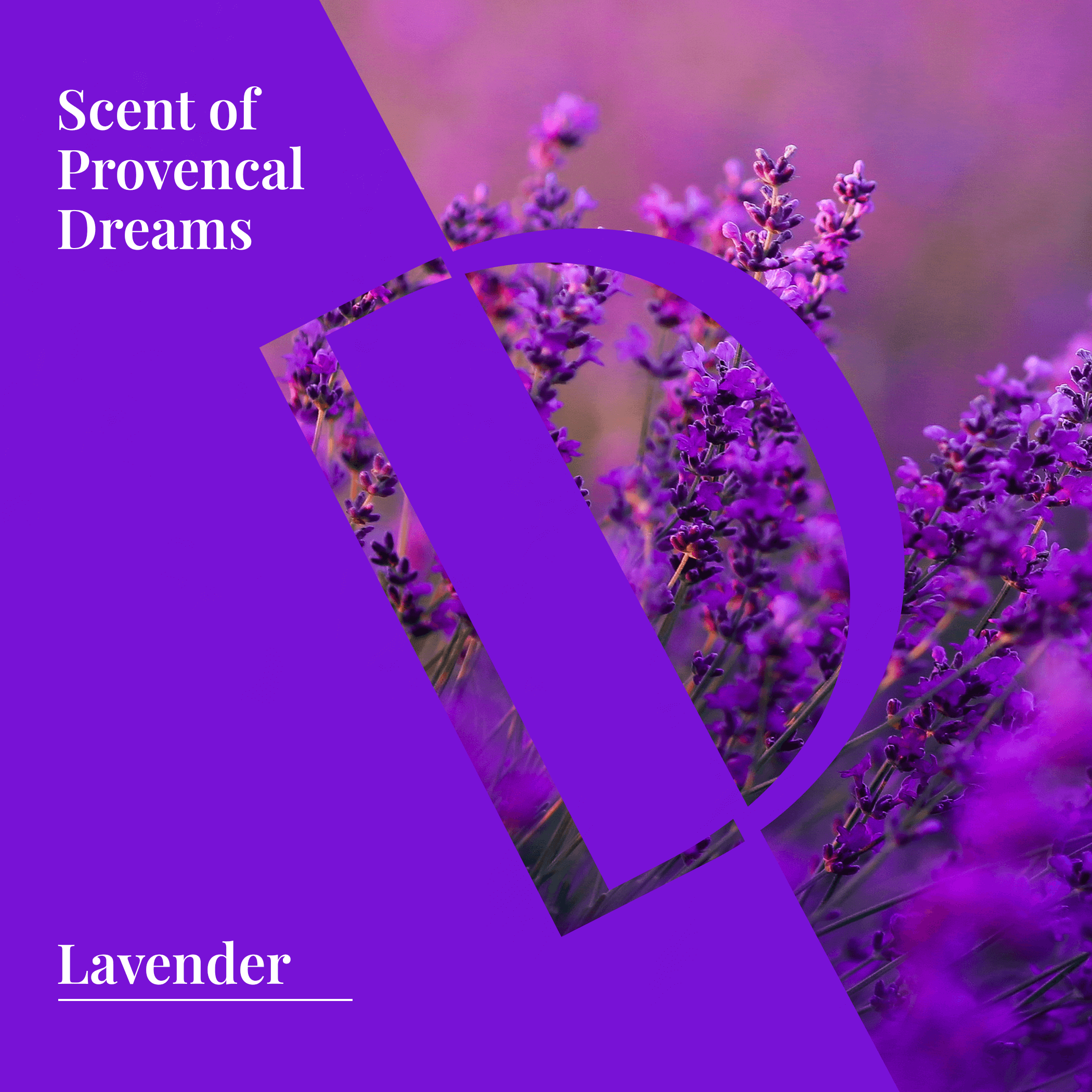 Lavender Organic Wellness Grade Essential Oil-2