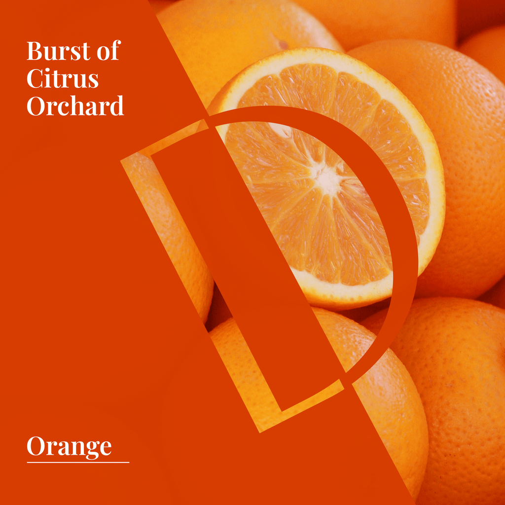 Sweet Orange Organic Wellness Grade Essential Oil-2