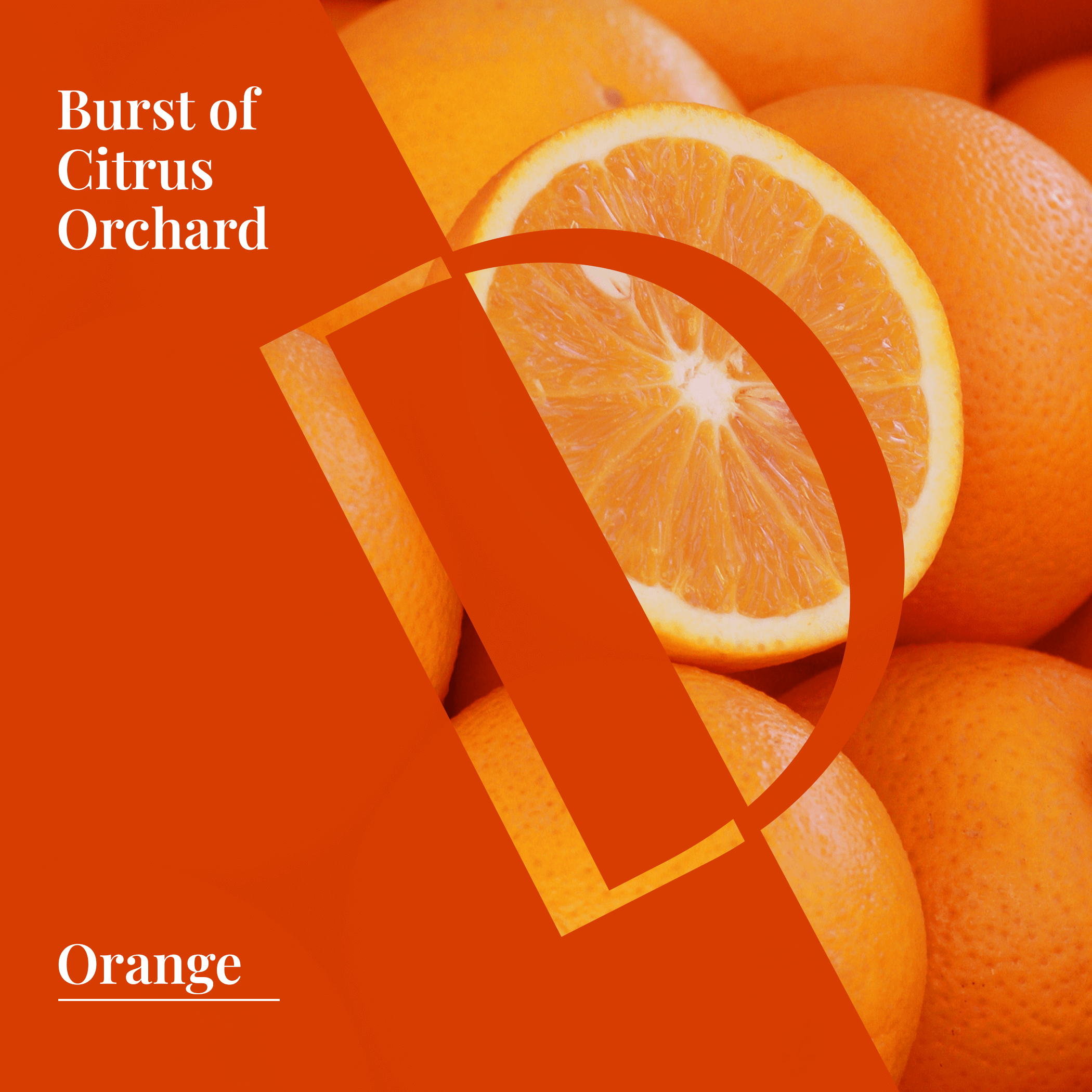 Sweet Orange Organic Wellness Grade Essential Oil-2